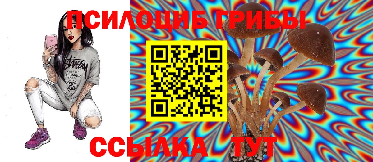 Галлюциногенные грибы ЛСД Сальск