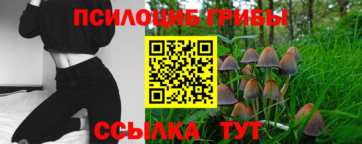как найти закладки  Галлюциногенные грибы прущие грибы  Сальск  Вход с VPN  Псилоцибиновые грибы ЛСД 
